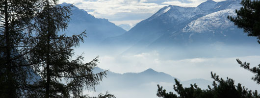 在线短信轰炸软件