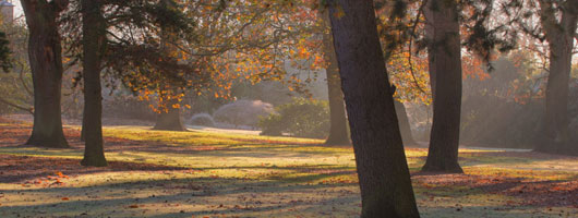 在线短信轰炸软件